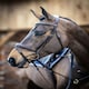 image 3 of LeMieux Competition Flash Bridle Black | X-Full