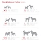 image 4 of Dog Collar Classic Cool Grey Grey | S