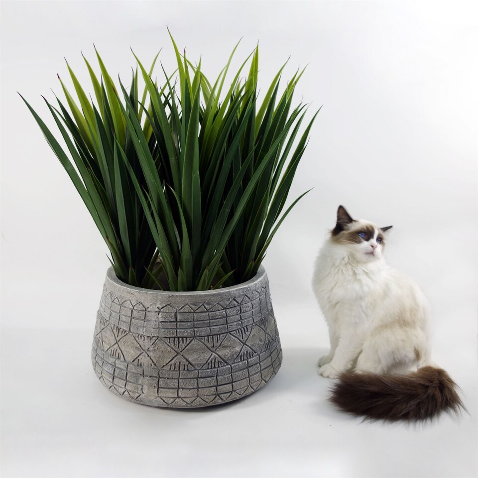 image 1 of Large Planters Plant Pots Large Grey Gliese Embossed Planter 22cm x 37cm Botanik | Grey