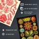image 4 of Botanical Aesthetic Haeckel Colourful Art Set of 50 Unframed A6 Prints