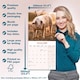 image 6 of Pigs 2026 Calendar | Square Wall Calendar | Farm Animal Gift | Plastic Free Packaging | by Avonside Publishing