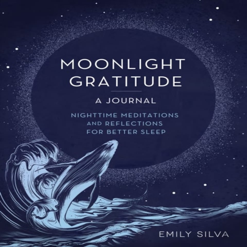 Moonlight Gratitude A Journal Vol 18
