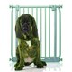 image 1 of Bettacare Elite Pressure Dog Gate, 71cm - 80cm, Matt Grey, Pressure Fit Pet Gate for Dog and Puppy