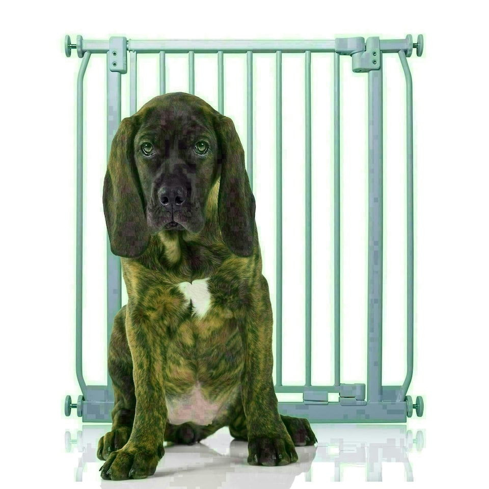 image 1 of Bettacare Elite Pressure Dog Gate, 71cm - 80cm, Matt Grey, Pressure Fit Pet Gate for Dog and Puppy