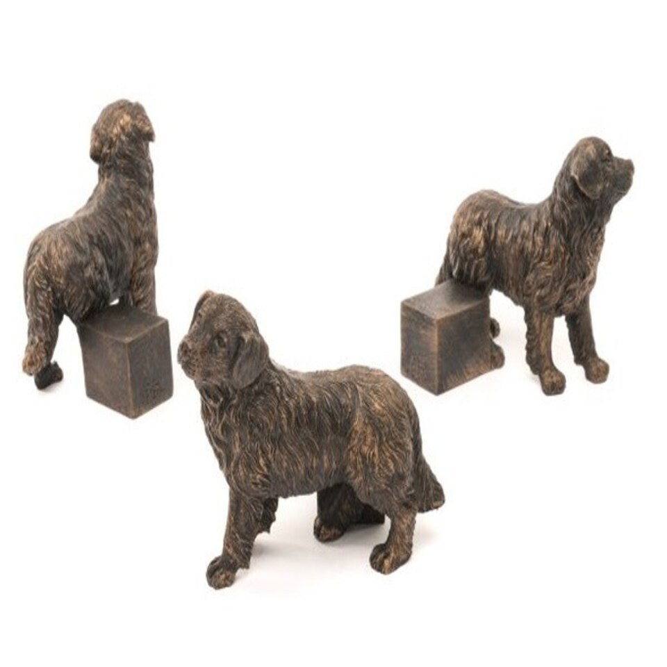 image 1 of Bernese Mountain Dog Plant Pot Feet - Set of 3 - L8 x W8.5 x H10.3 cm Grey