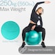 image 3 of Anti-Burst Gym Ball (55cm)