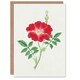 image 1 of Vintage Japanese Botanical Art Card Red Flower