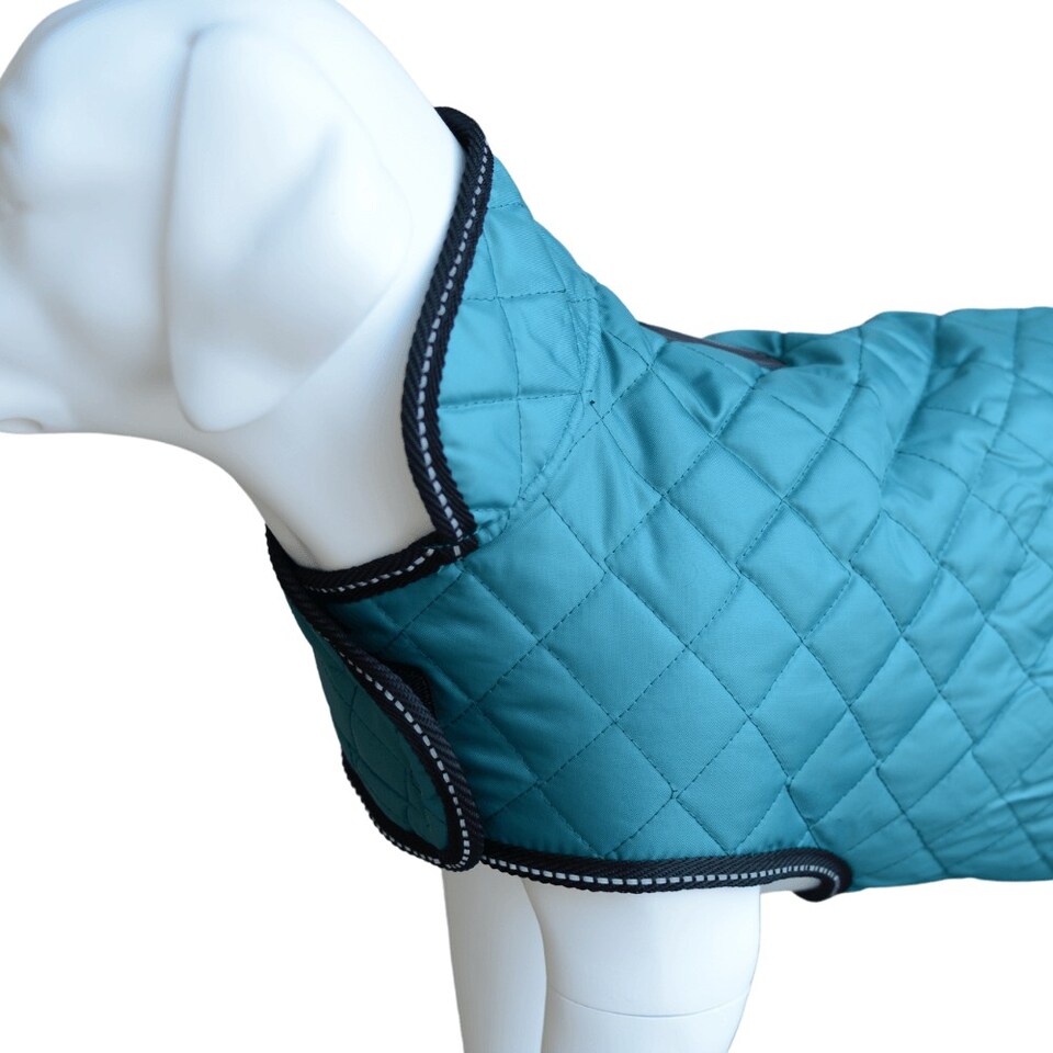 image 1 of Henry Wag Teal Quilted Dog Jacket, Let Your Dog Step Out In Style, Size Large (55cm) | Green | Teal | 1