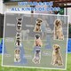 image 8 of PawHut Dog Agility Equipment Set, Three-Piece Adjustable Height Jumping