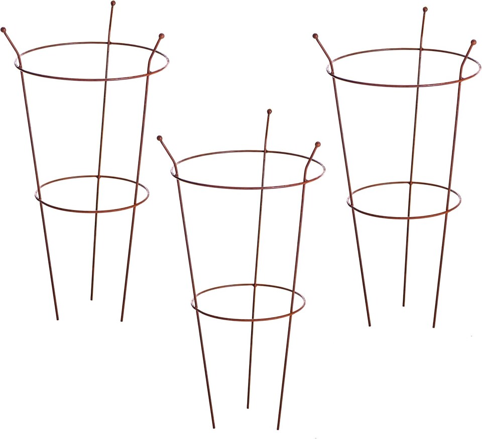 image 1 of Garden Gear Pre-Rust Corten Peony Plant Frame Large x 3 | Orange | 3