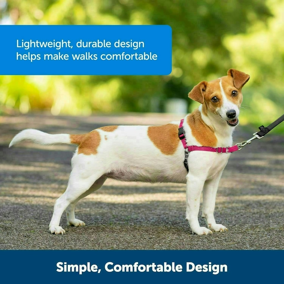 image 1 of PetSafe Easy Walk Harness - Small/Medium-Black