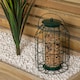 image 5 of Pack of 4 Wild Bird Hanging Nut Feeder with Squirrel Guard
