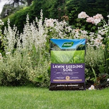 Westland Lawn Seeding Soil 25L Zinc-Enriched Fine Grade | Multi | 1 x 25L Bag