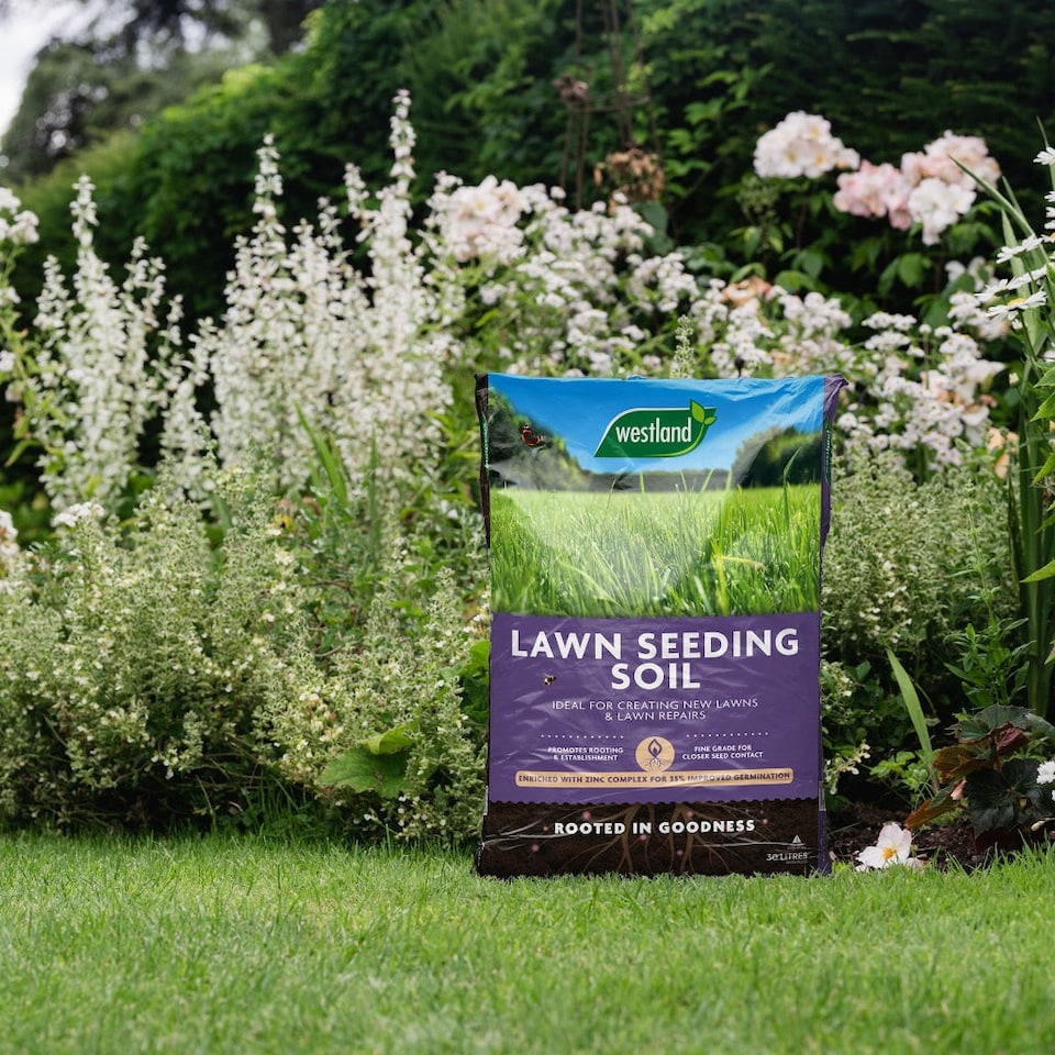 image 1 of Westland Lawn Seeding Soil 25L Zinc-Enriched Fine Grade | Multi | 1 x 25L Bag