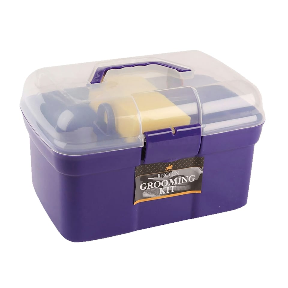 Lincoln Grooming Kit - Purple - One Size