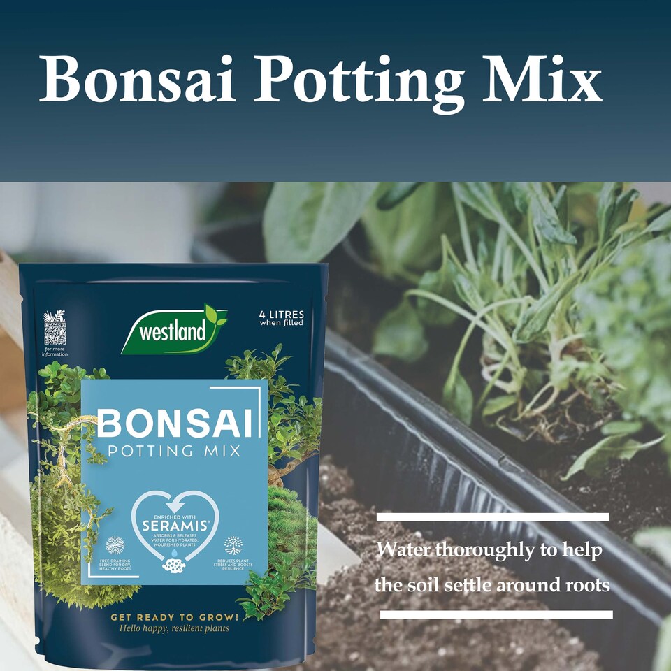 image 1 of Westland Bonsai Potting Mix 4L Free Draining Peat Free Brown Soil for Healthy Bonsai Growth & Strong Roots