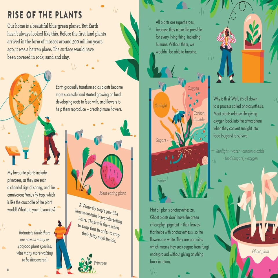 image 1 of Superhero Plants