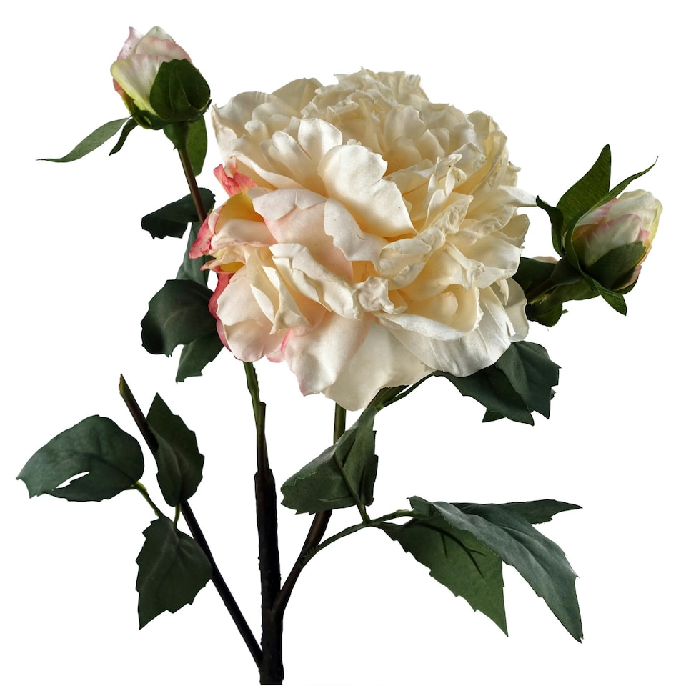 image 1 of 6 x 60cm Peony Artificial Flower Cream - 6 flowers 18 buds