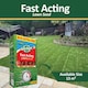 image 9 of Westland GRO-Sure Fast Acting Lawn Seed 10 Meter Square + 30 Percent Extra Quick Germination Grass Seed for Lawn Repair & Growth