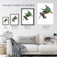 image 3 of The Yellow Crowned Parakeet Levaillant Wall Art Poster Print 12X16"