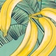 image 5 of Furn Anemone Bananas Printed Outdoor Cushion