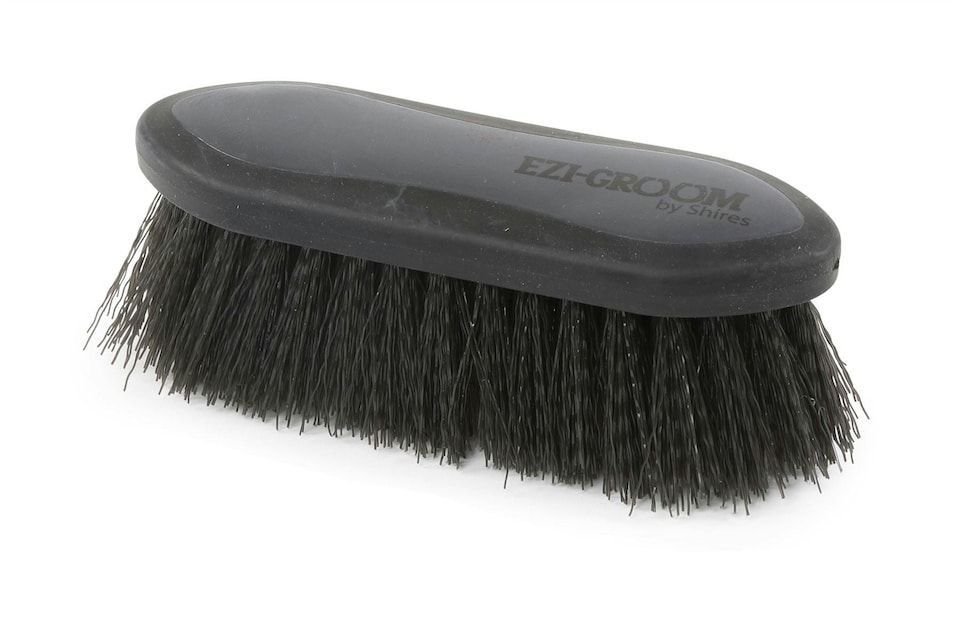 image 1 of Shires Ezi-Groom Grip Dandy Brush | Black | Size: Small
Colour: Black