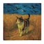 Wheatfield Calico Cat