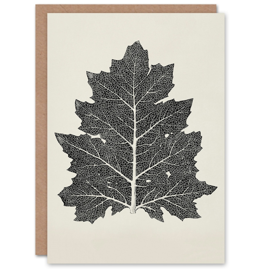 image 1 of Owen Jones Art Card Vintage Black and White Leaf Drawing