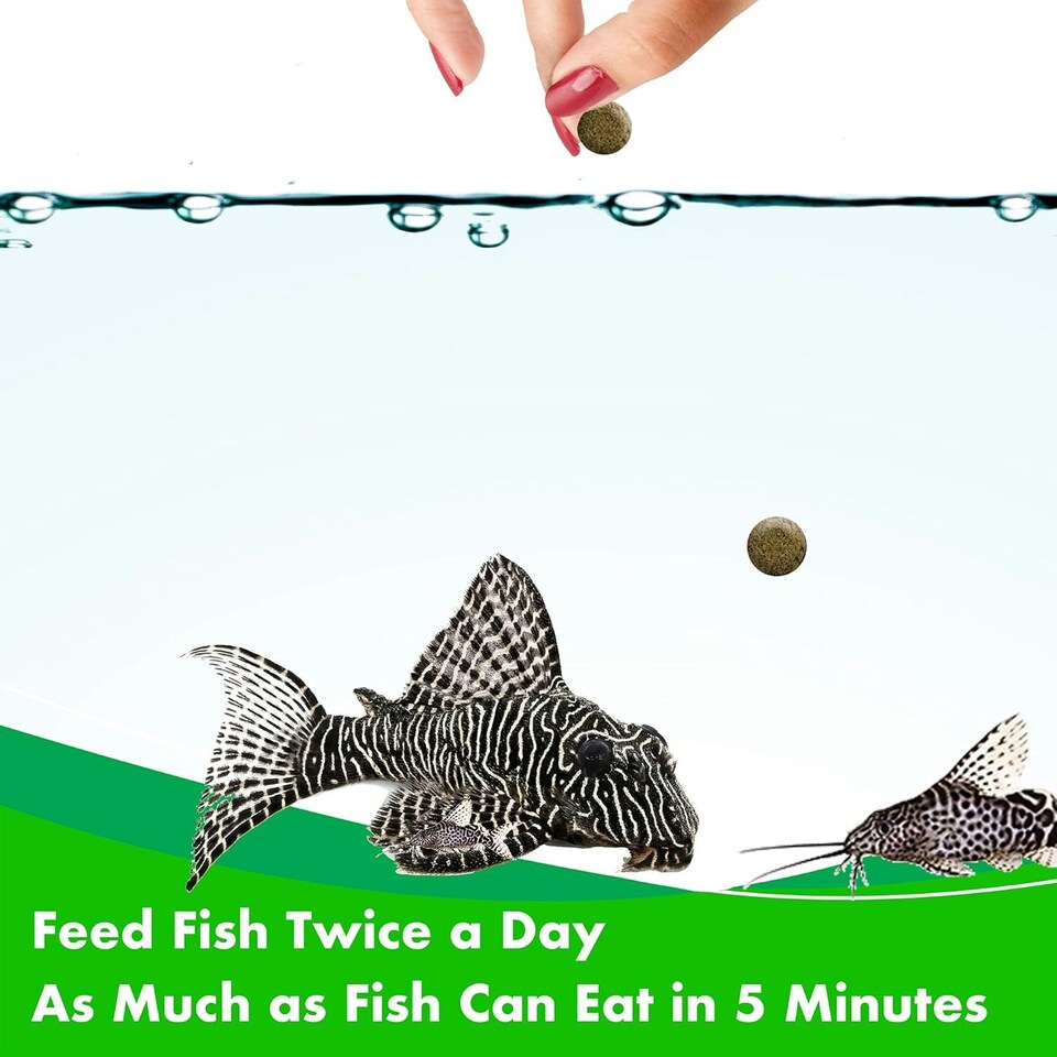 image 1 of AQUARIAN Complete Nutrition, Aquarium Algae Eater Fish Food, Sinking Algae Wafers, 255g Bag