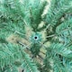 image 5 of 6ft Alaskan Pine Tree Green | 6ft