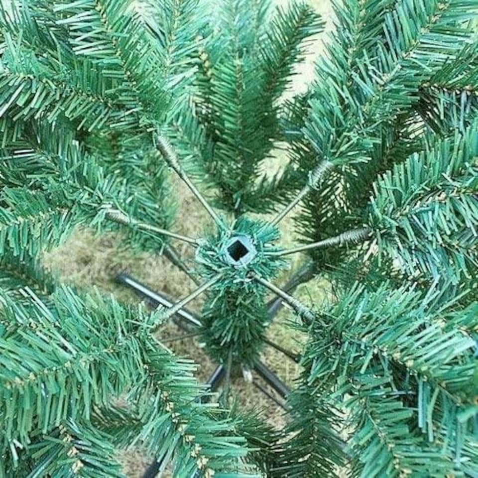 image 1 of 6ft Alaskan Pine Tree Green | 6ft