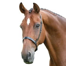 Blenheim Leather Horse Cavesson Noseband - Black - Full