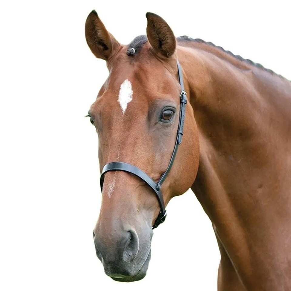 Blenheim Leather Horse Cavesson Noseband - Black - Full