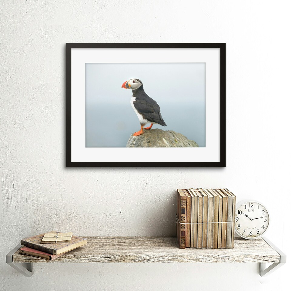image 1 of Atlantic Puffin Bird Rock Sea Photo Home Decor 12x16" Framed Wall Art Print