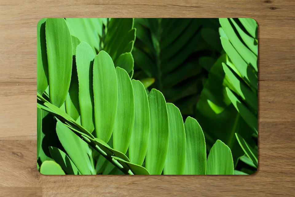 image 1 of Natural dark green leaves, long slender green leaves (Placemat & Coaster Set)
