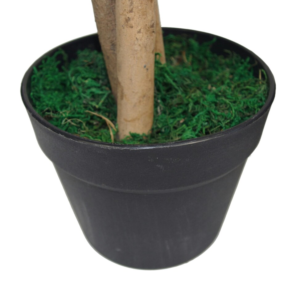 image 1 of 80cm Tall Large Artificial Mango Tree Plant Green | One Size