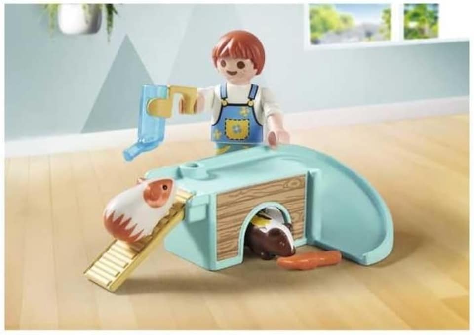 image 1 of Guinea Pig House