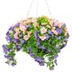 image 4 of Primrose Artificial Petunia Flowers Rattan Hanging Basket Purple Pink 30cm