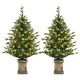 image 1 of HOMCOM 2 Pcs 4ft Artificial Christmas Tree with Lights, Pot, Realistic Tips