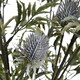 image 3 of Hill Interiors Artificial Eryngium Thistle - Soft Blue - One Size