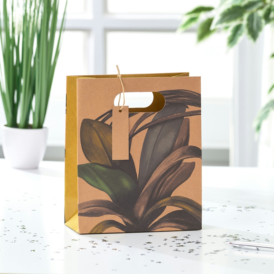 image 1 of Botanical Medium Gift Bag - Pack of 3