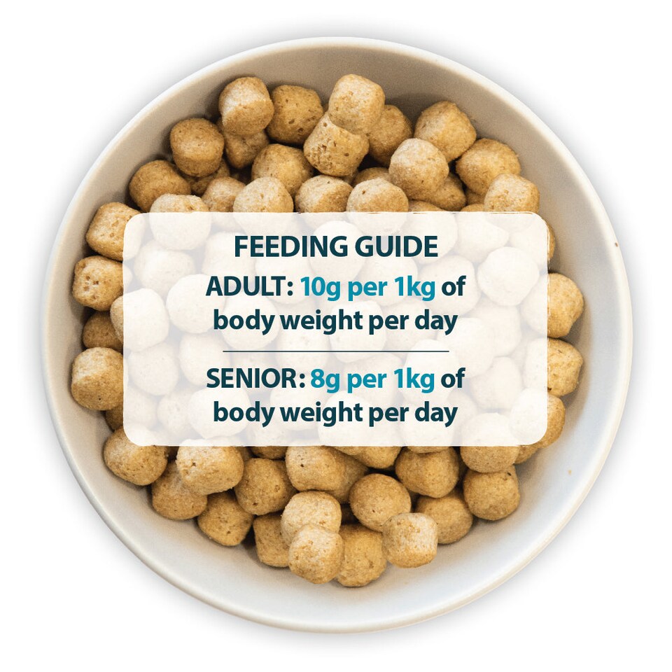 image 1 of Burns Weight Control Chicken & Oats Adult & Senior Dry Dog Food - 6 kg | Multi | 6kg | 1