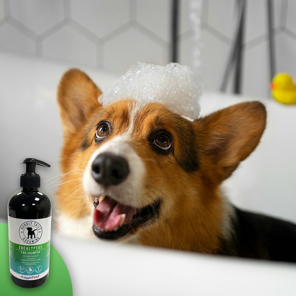 image 1 of HugglePets Bubbly Tails Dog Shampoo - Eucalyptus