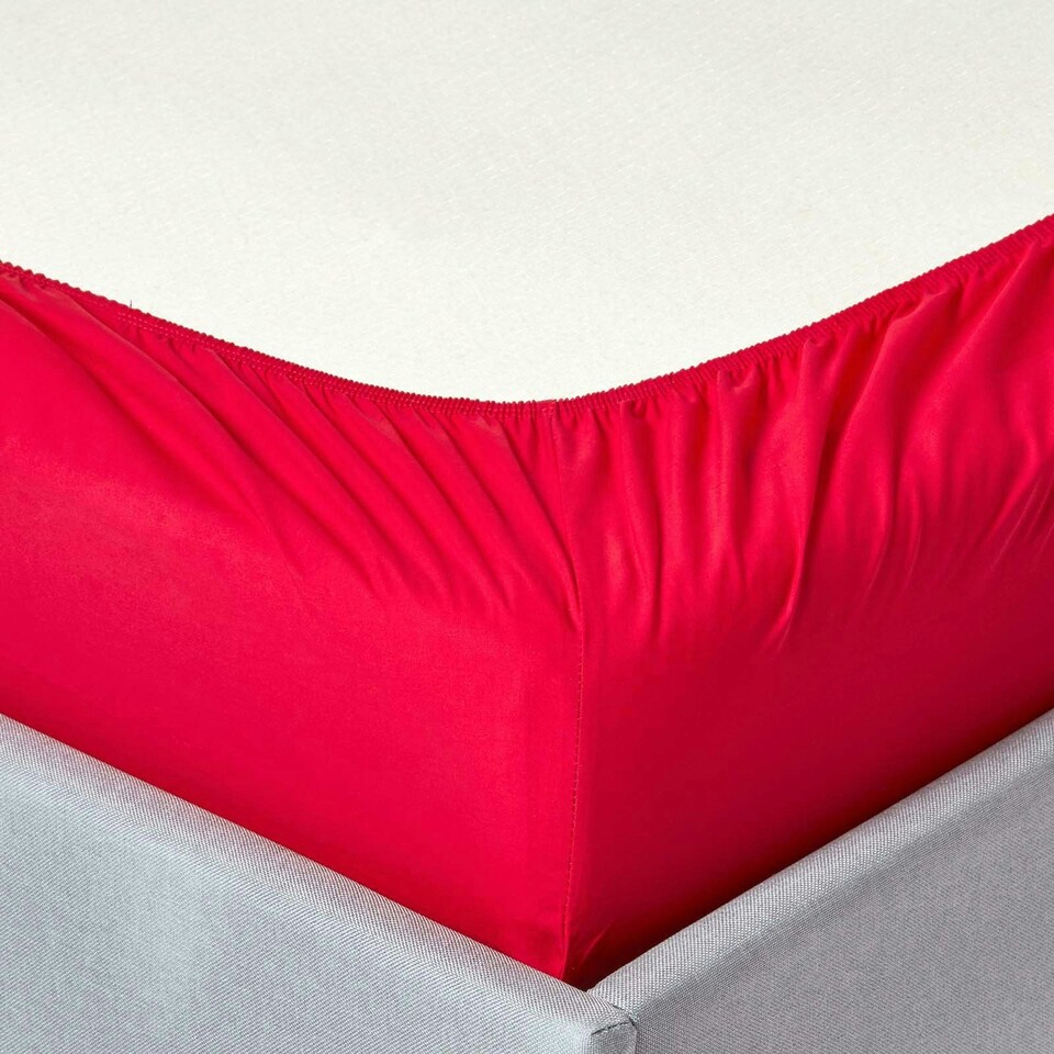 image 1 of Homescapes Red Egyptian Cotton Fitted Sheet 200 TC, King Red | King