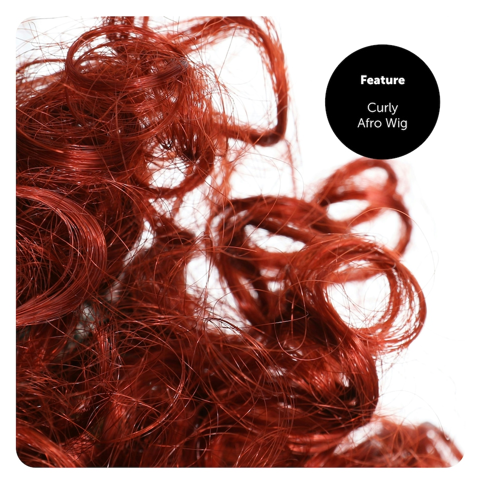 image 1 of Adult Ginger Afro Wig – Bright Curly Fancy Dress Hairpiece N/A | One Size