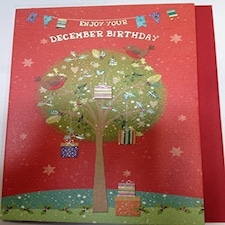 Enjoy Your December Birthday, Birthday Card