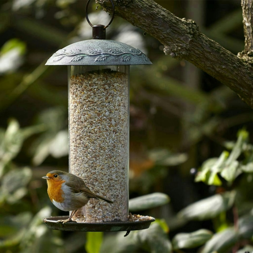 image 1 of Peckish Complete Bird Feed Mix Multi