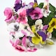 image 5 of Homescapes Set of 3 Pansy Spray Single Stems