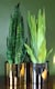 image 5 of Metal Planter Plant Pot with Polished Gold Finish 20 x 18cm Botanik | Gold
