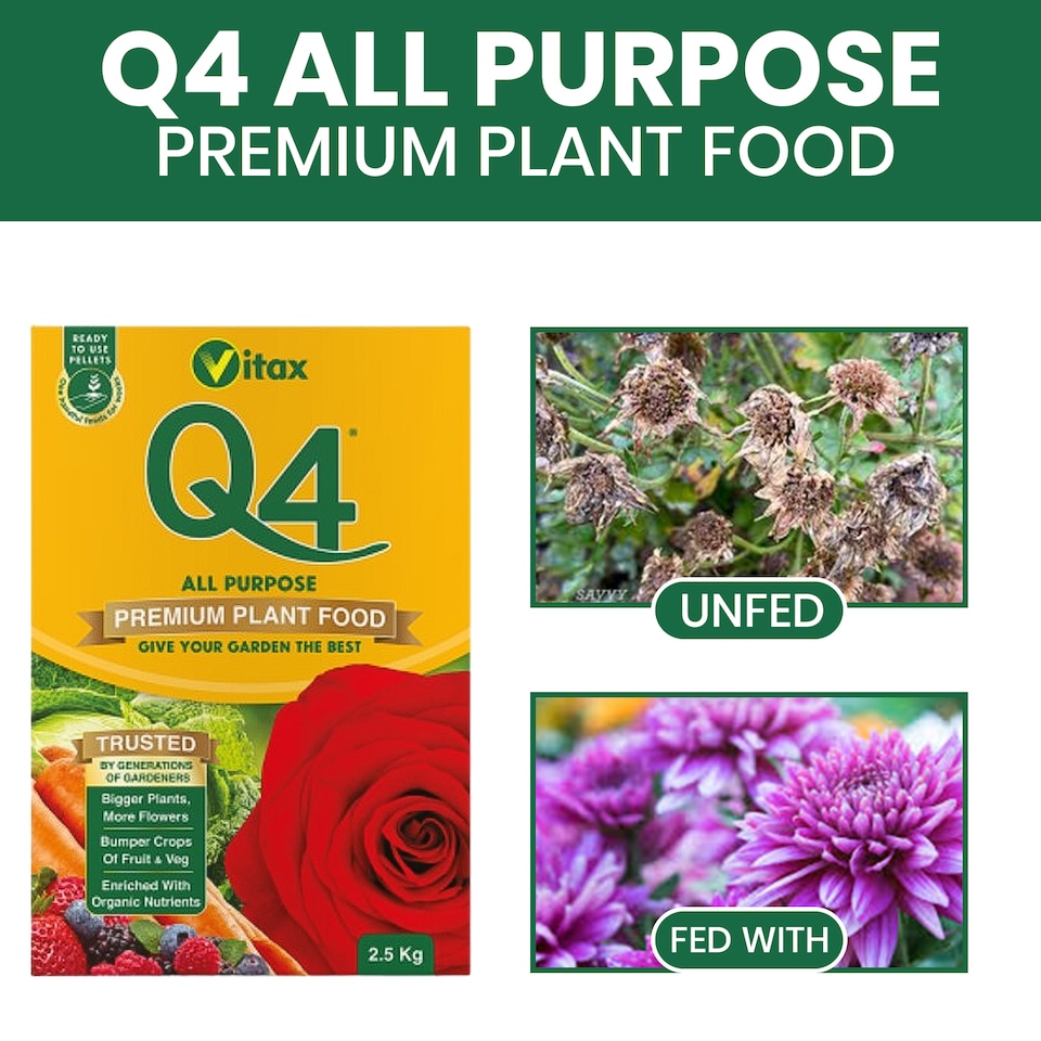 image 1 of Vitax Q4 Multipurpose Pelleted Fertilizer Balanced Slow-Release Feed for All Plants 2.5Kg